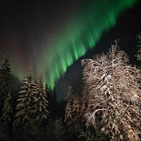 Nordic With Sauna Near Center * Rovaniemi