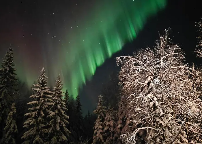 Nordic With Sauna Near Center * Rovaniemi