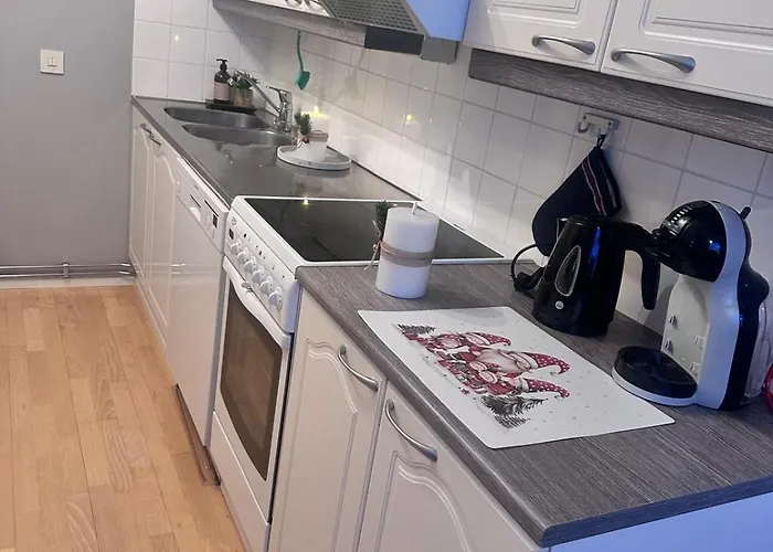 Nordic With Sauna Near Center Appartement *